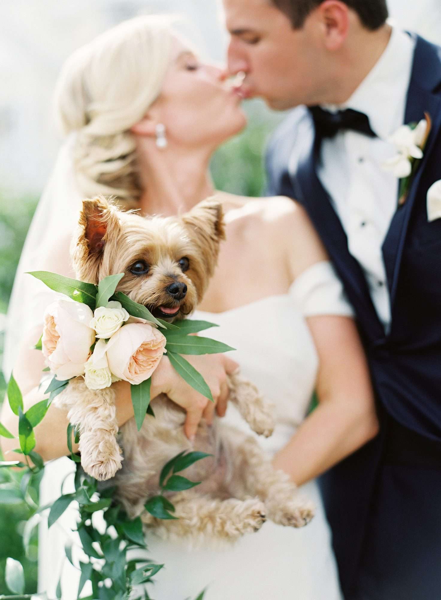 dog wedding bride groom kiss couple puppy bouquet