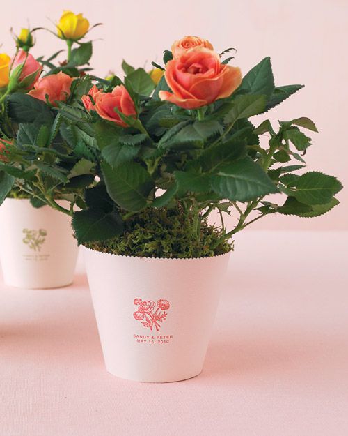 Potted Rose Favors