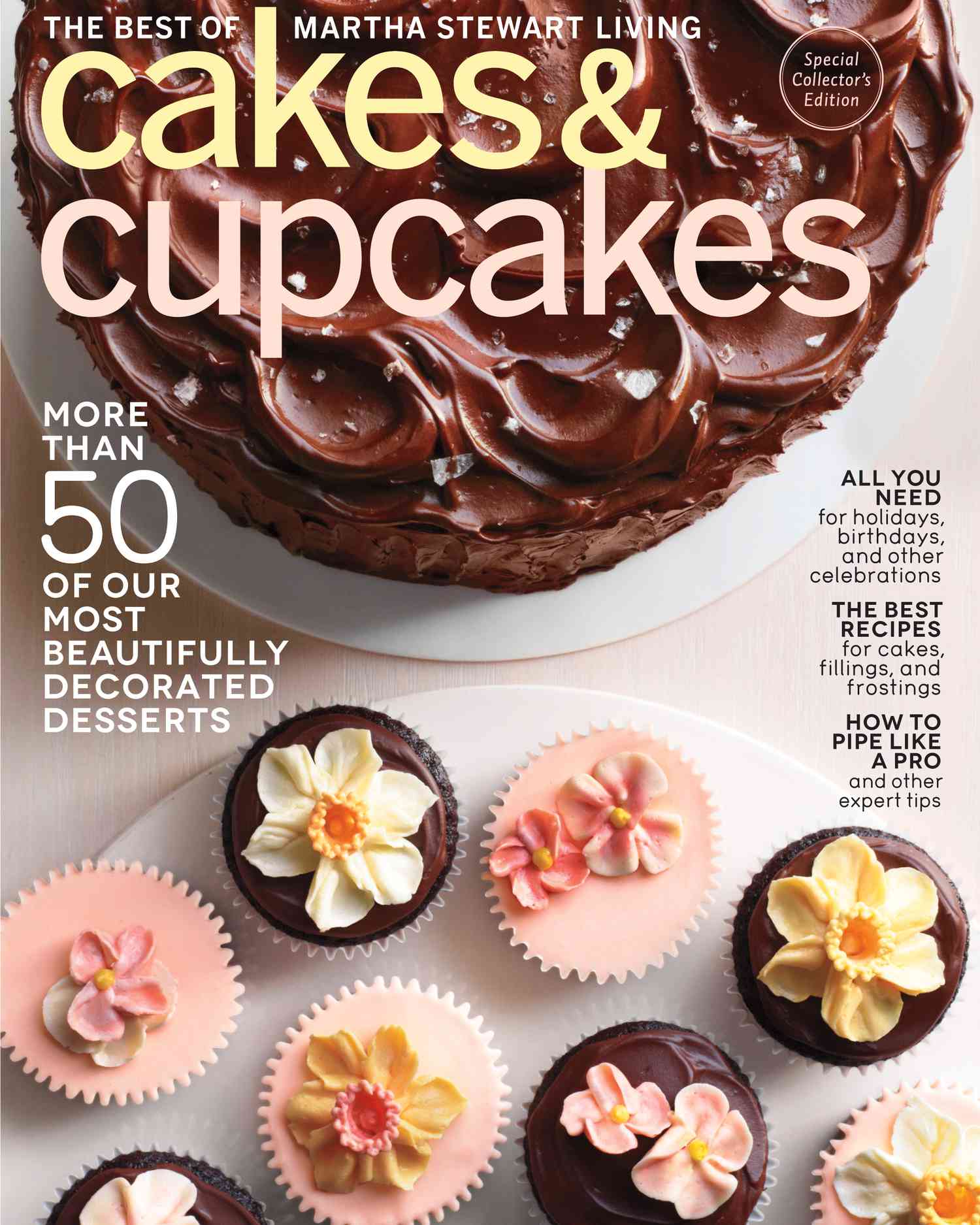 cakes-and-cupcakes-cover-msip.jpg
