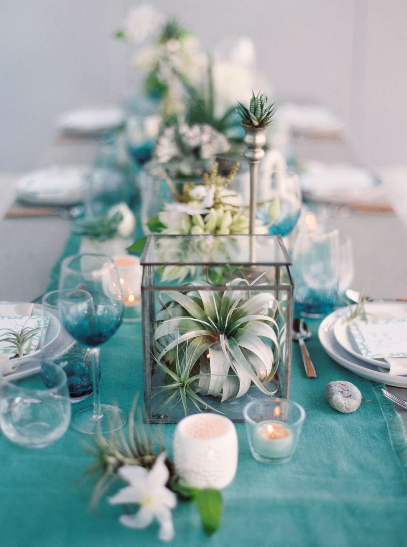succulent centerpieces in glass boxes