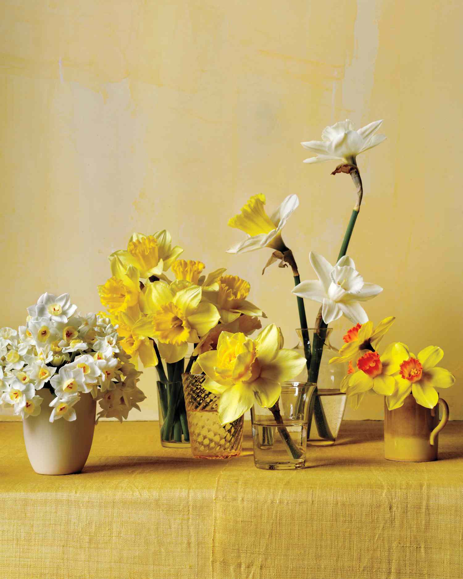 daffodil-flower-arrangement-v3-n-comp-d111001.jpg