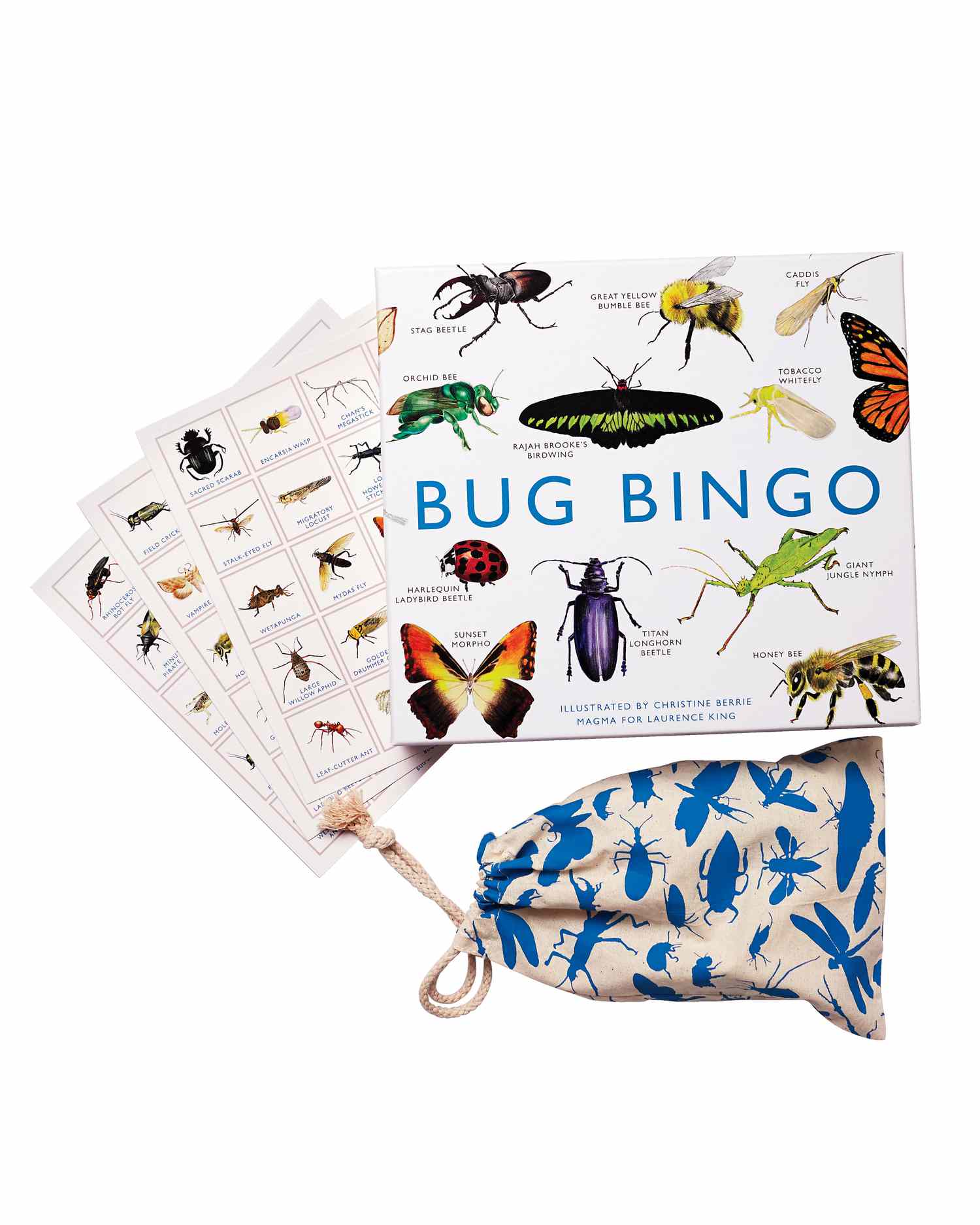 bug-bingo-060-d111151.jpg