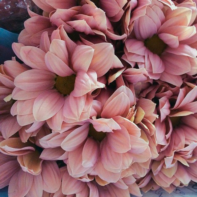 instagram-florists-brrch-florals-0814.jpg