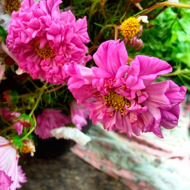 instagram-florists-foxfodder-0814.jpg