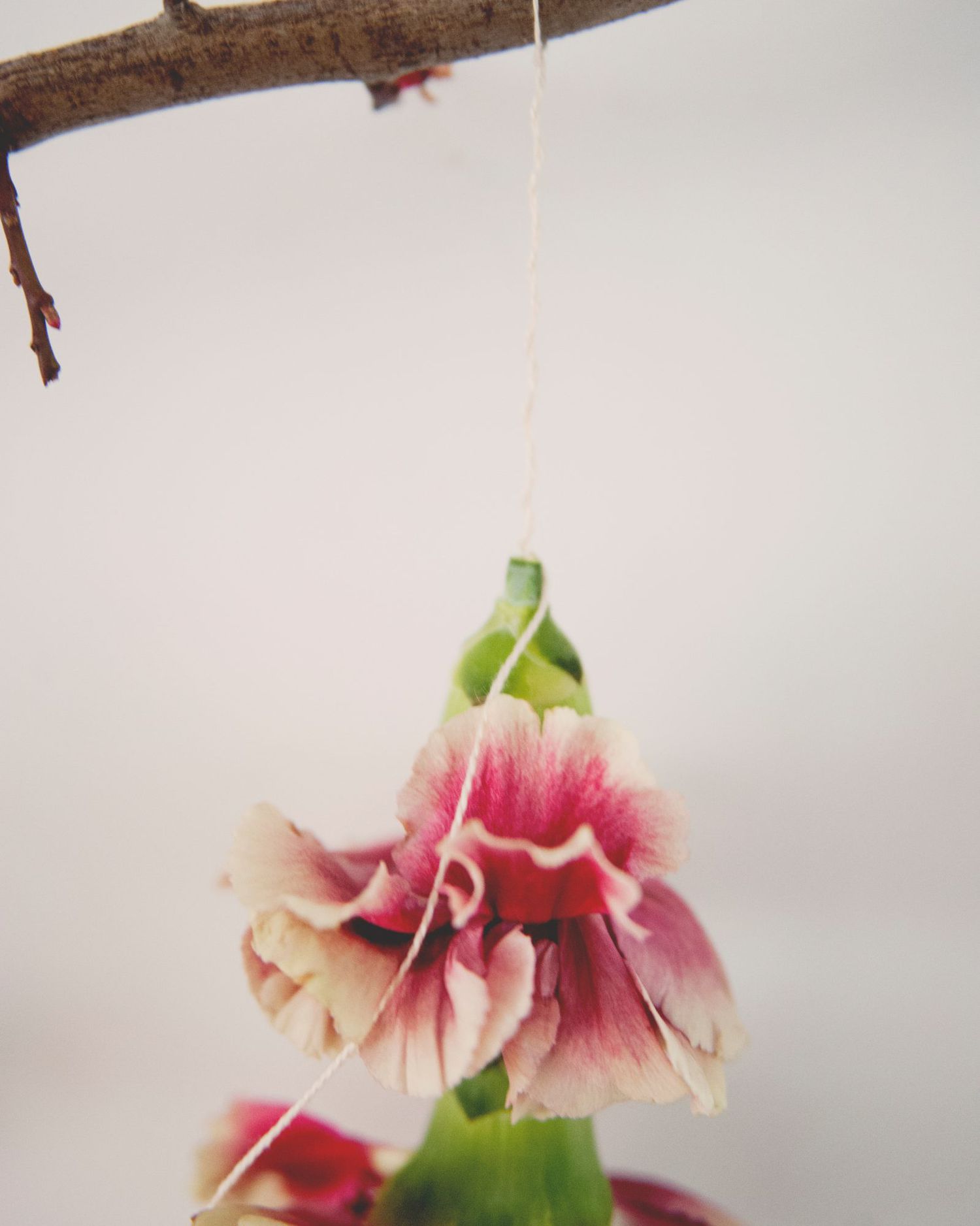 claire-thomas-bridal-shower-garden-diy-hanging-flower-close-0814.jpg