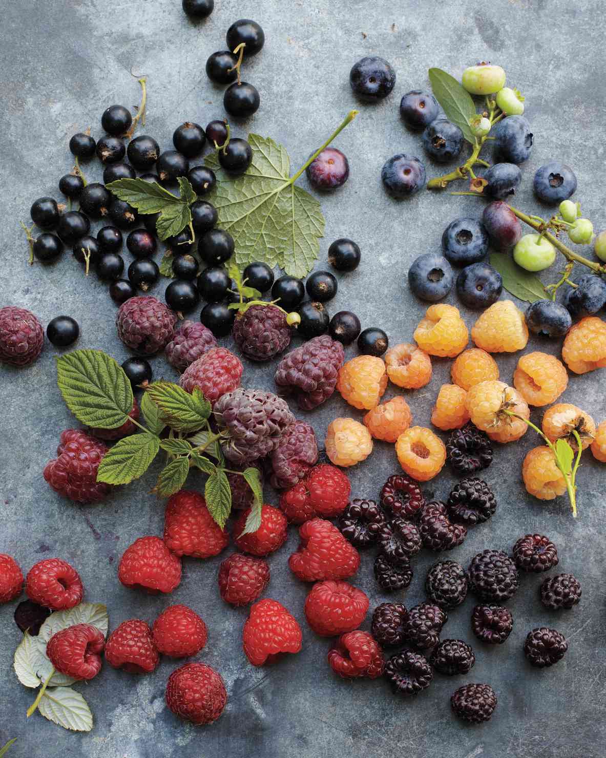 Berries (Blackberries, Blueberries, Currants, Raspberries, Strawberries)