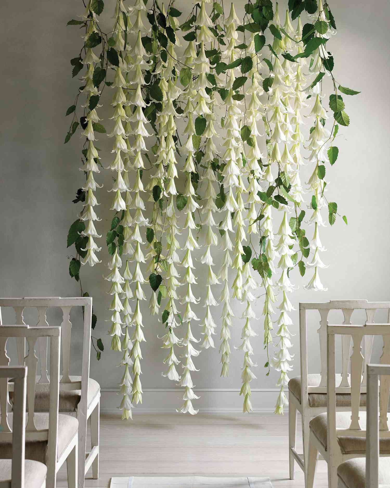 Lily Flower Wall