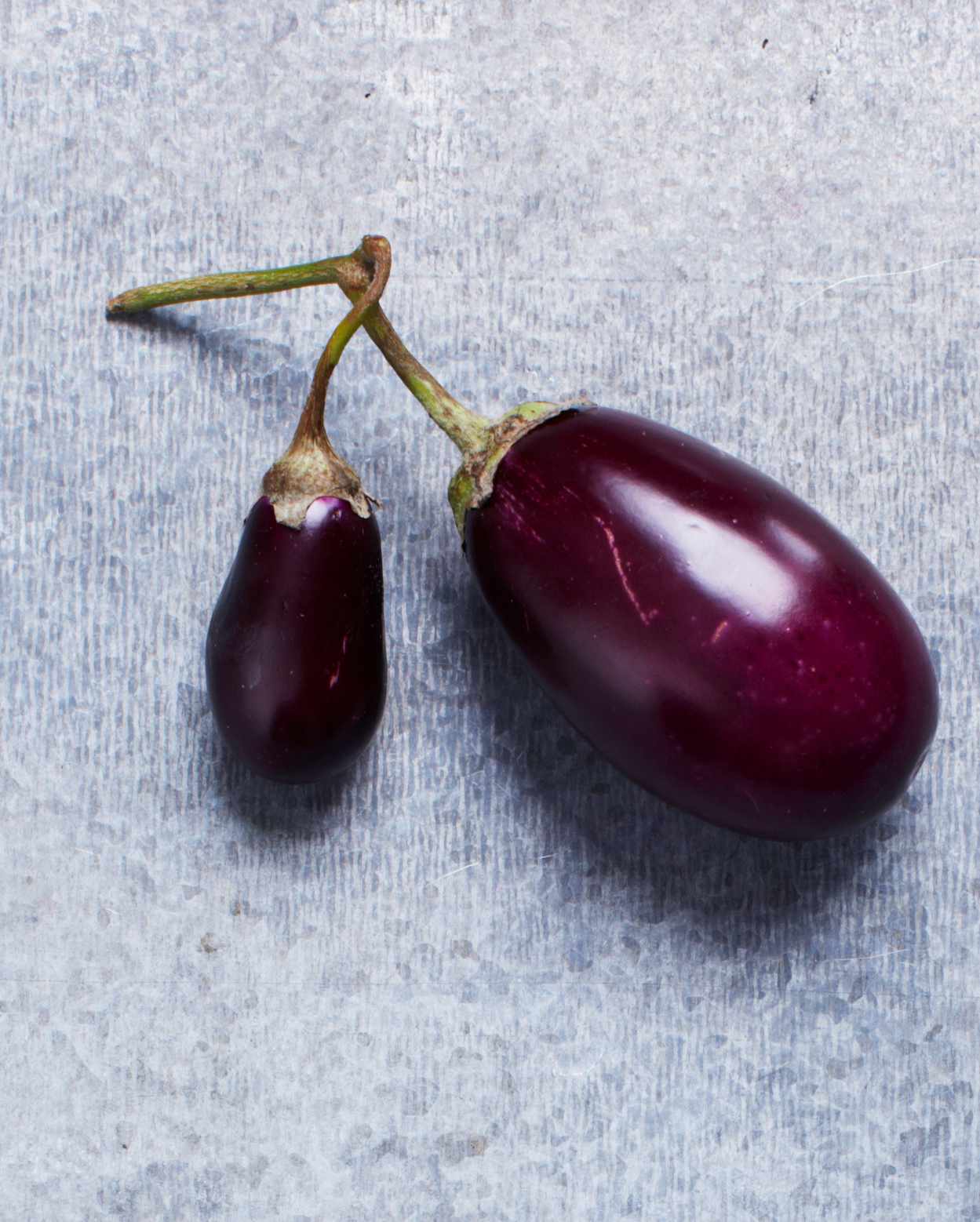 eggplant-glossary-118-d110486-0515.jpg