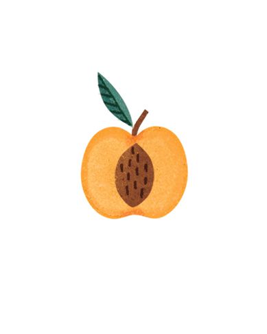 Apricot Kernel