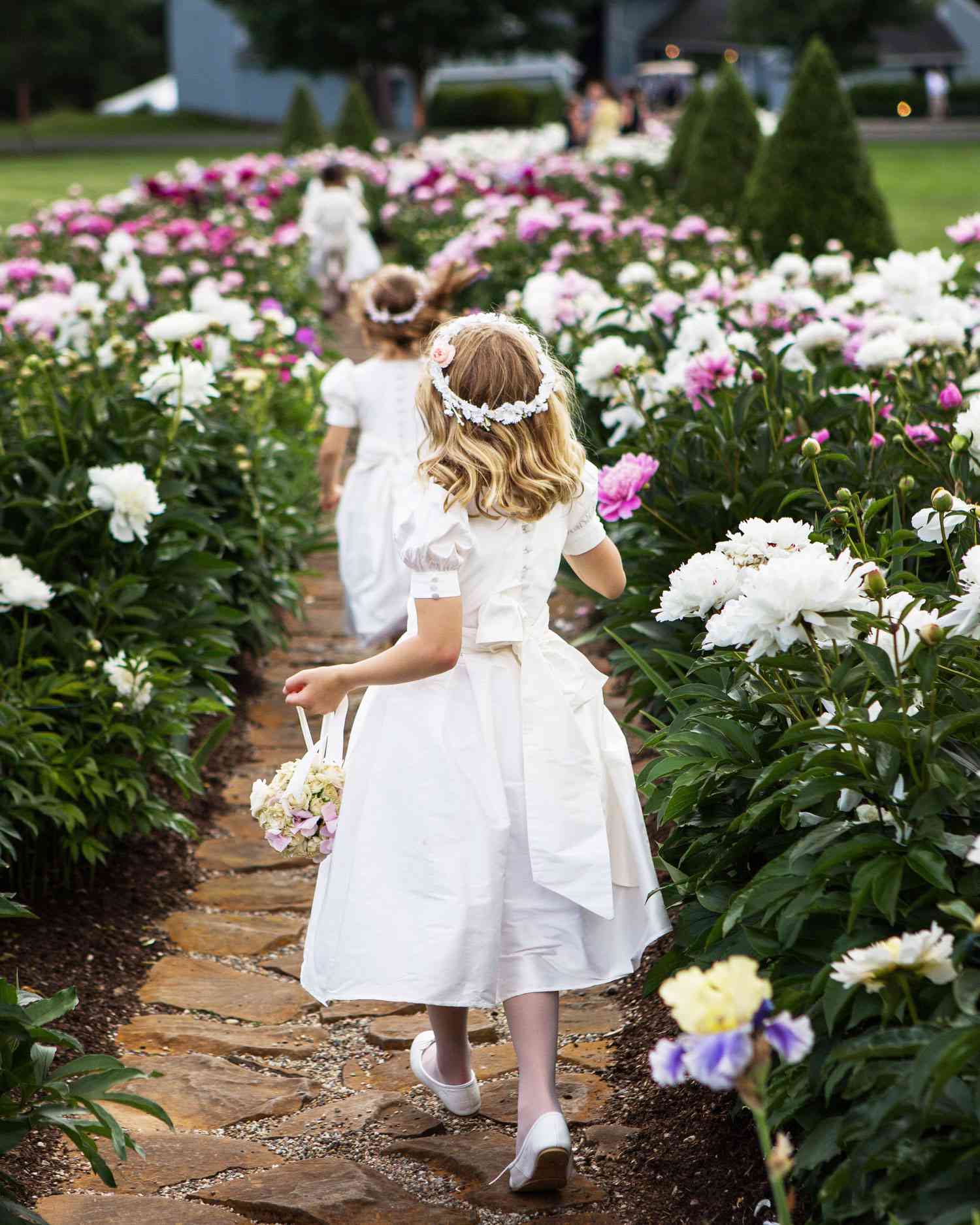 The Path of Peonies