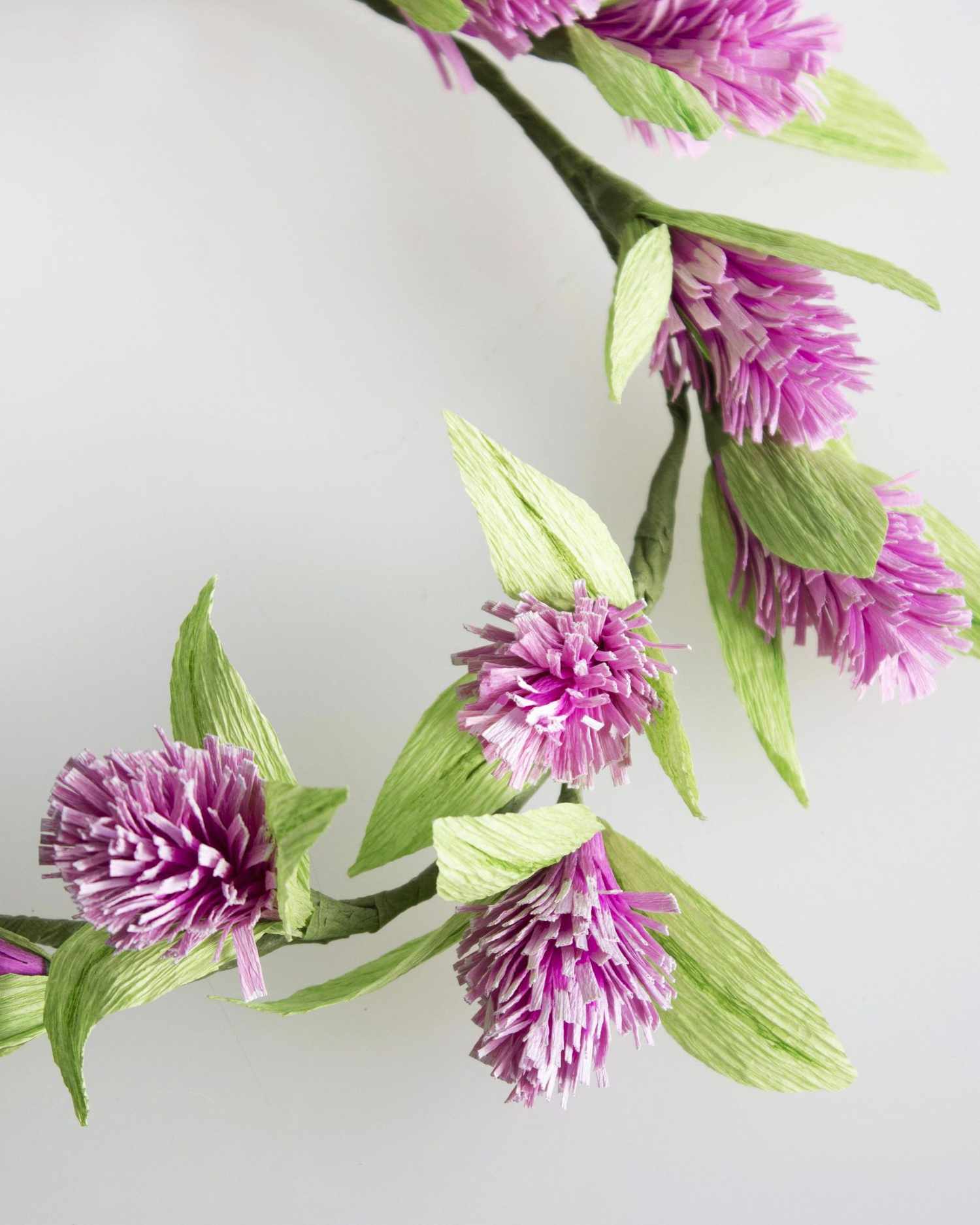 david-stark-diy-paper-flower-crown-8-0516.jpg