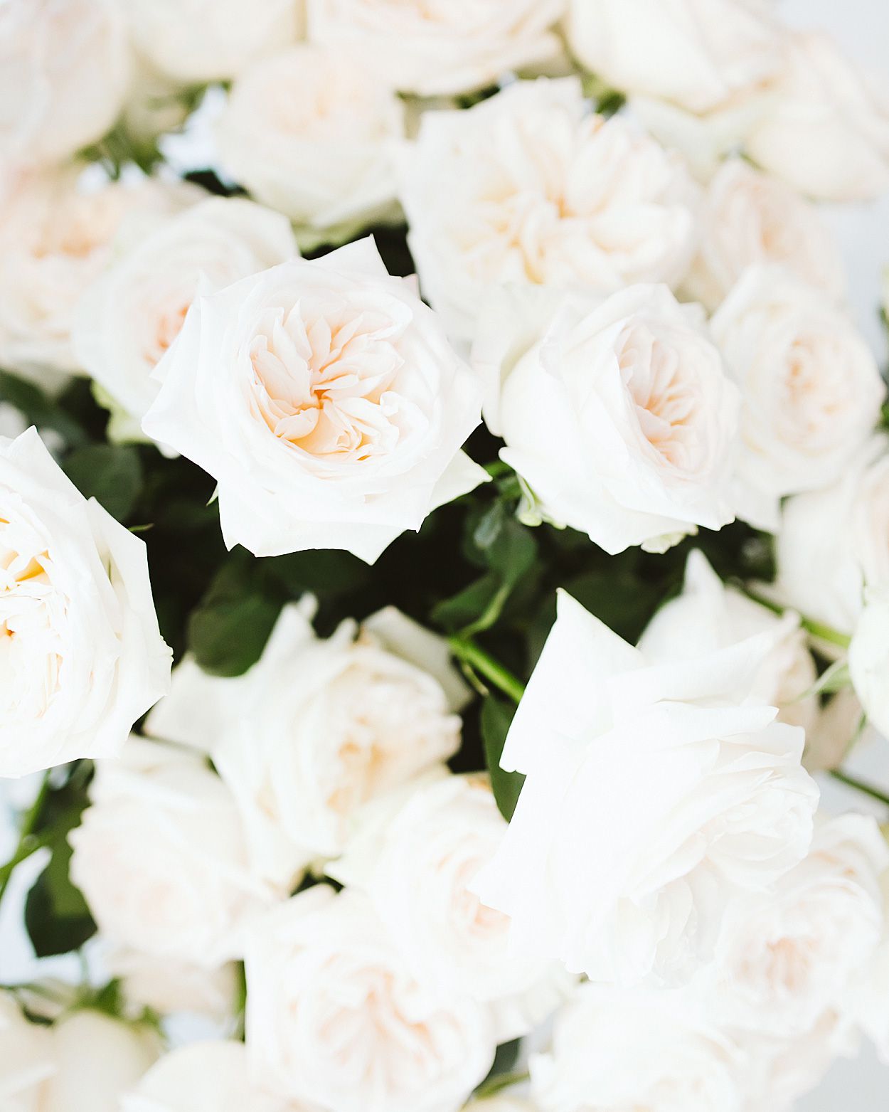 romantic-wedding-flowers-ohara-garden-rose-0516.jpg