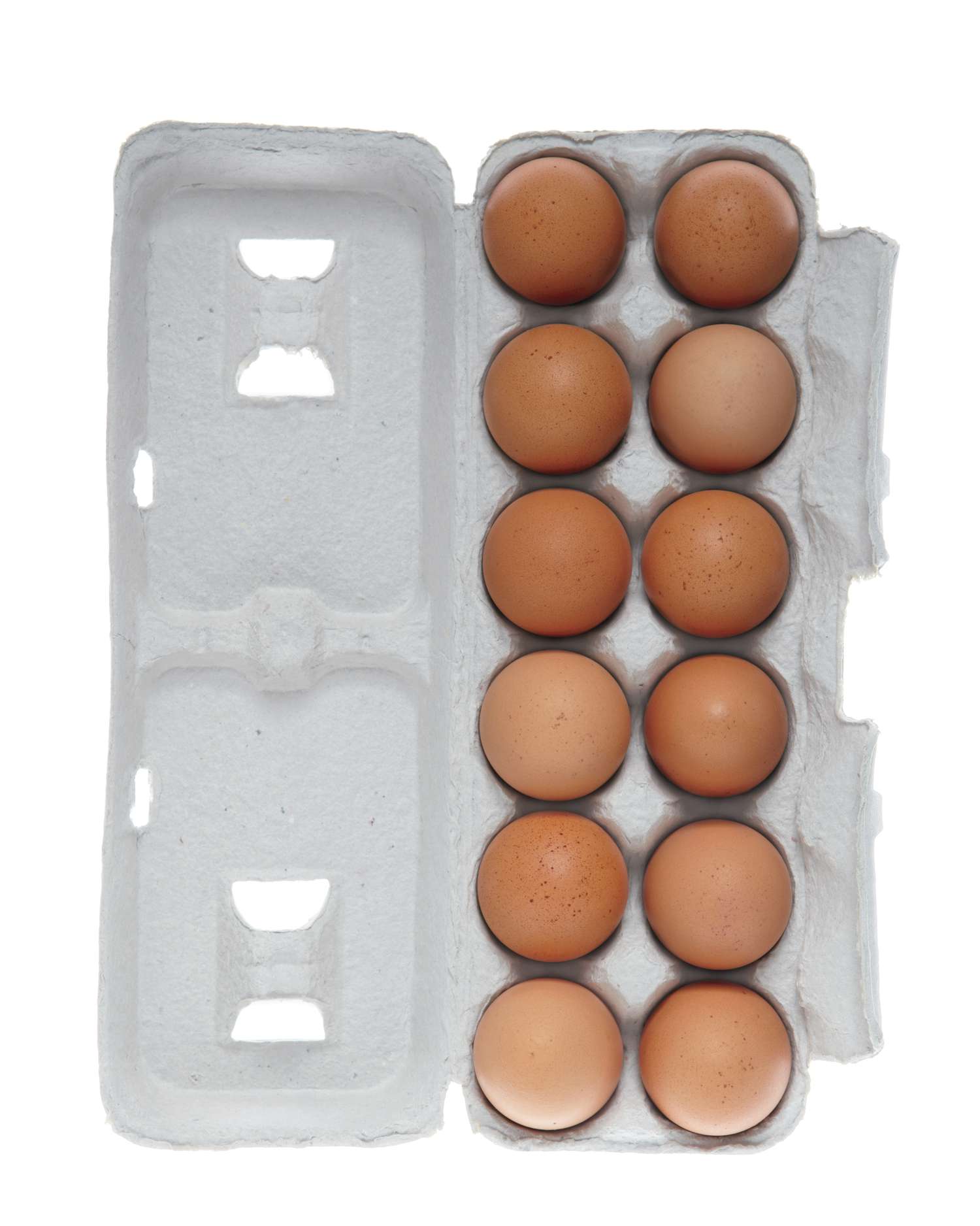 egg-carton-001-0814.jpg