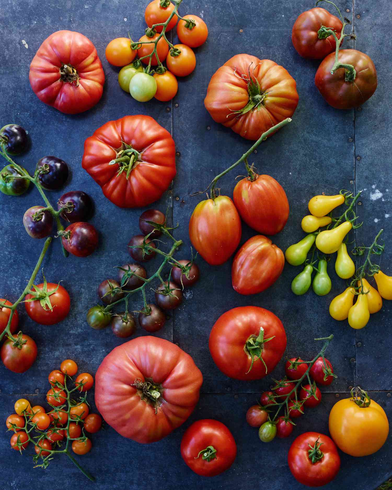 07-tomato-glossary-68582-d112503.jpg
