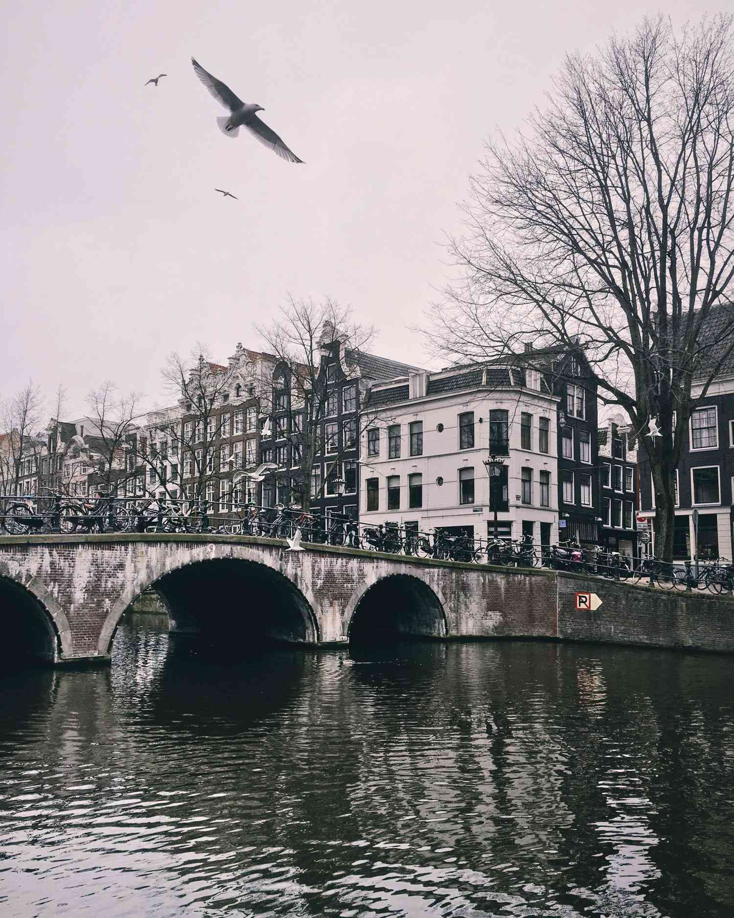 amsterdam netherlands travel photo