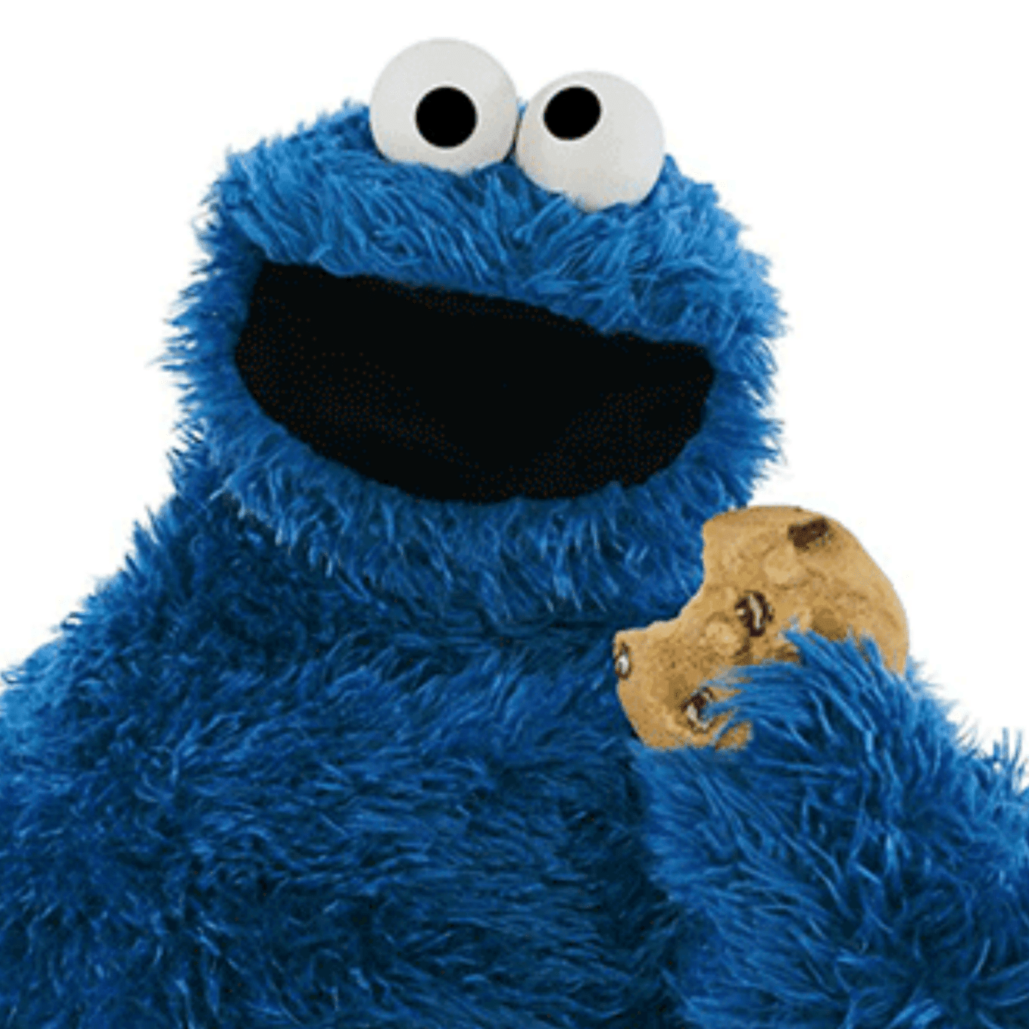 cookie-monster-1116.png (skyword:358871)