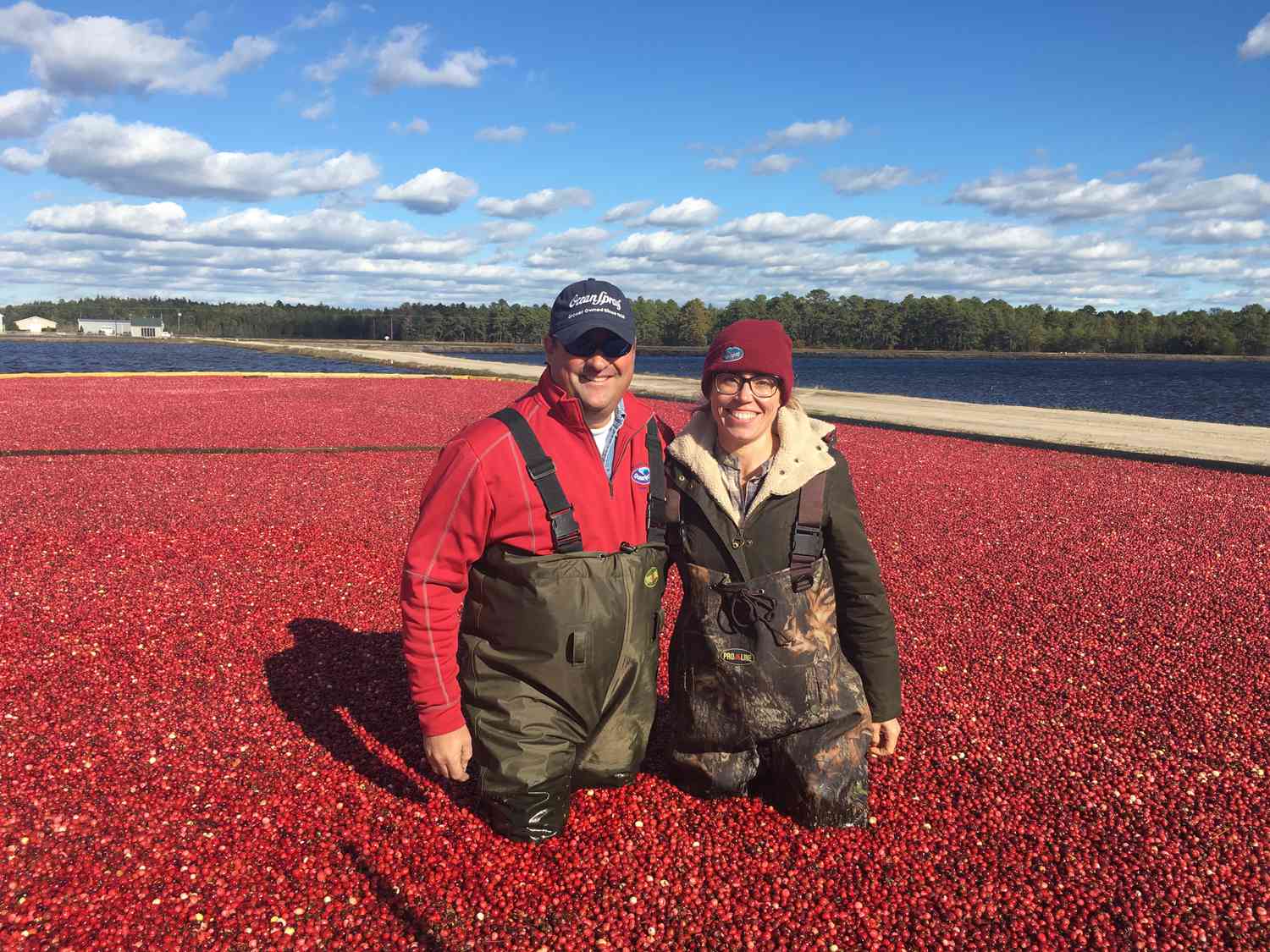 劳拉雷吉和农夫蔓越莓沼泽新泽西州