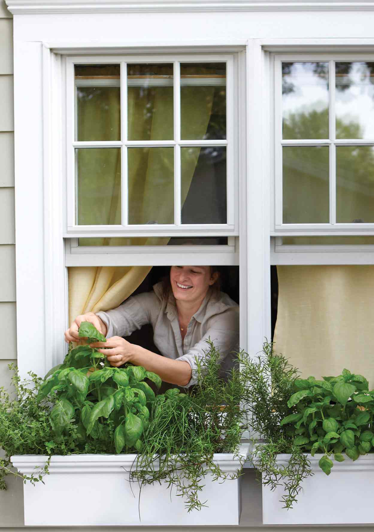 window-herb-garden-1016.jpg (skyword:349126)