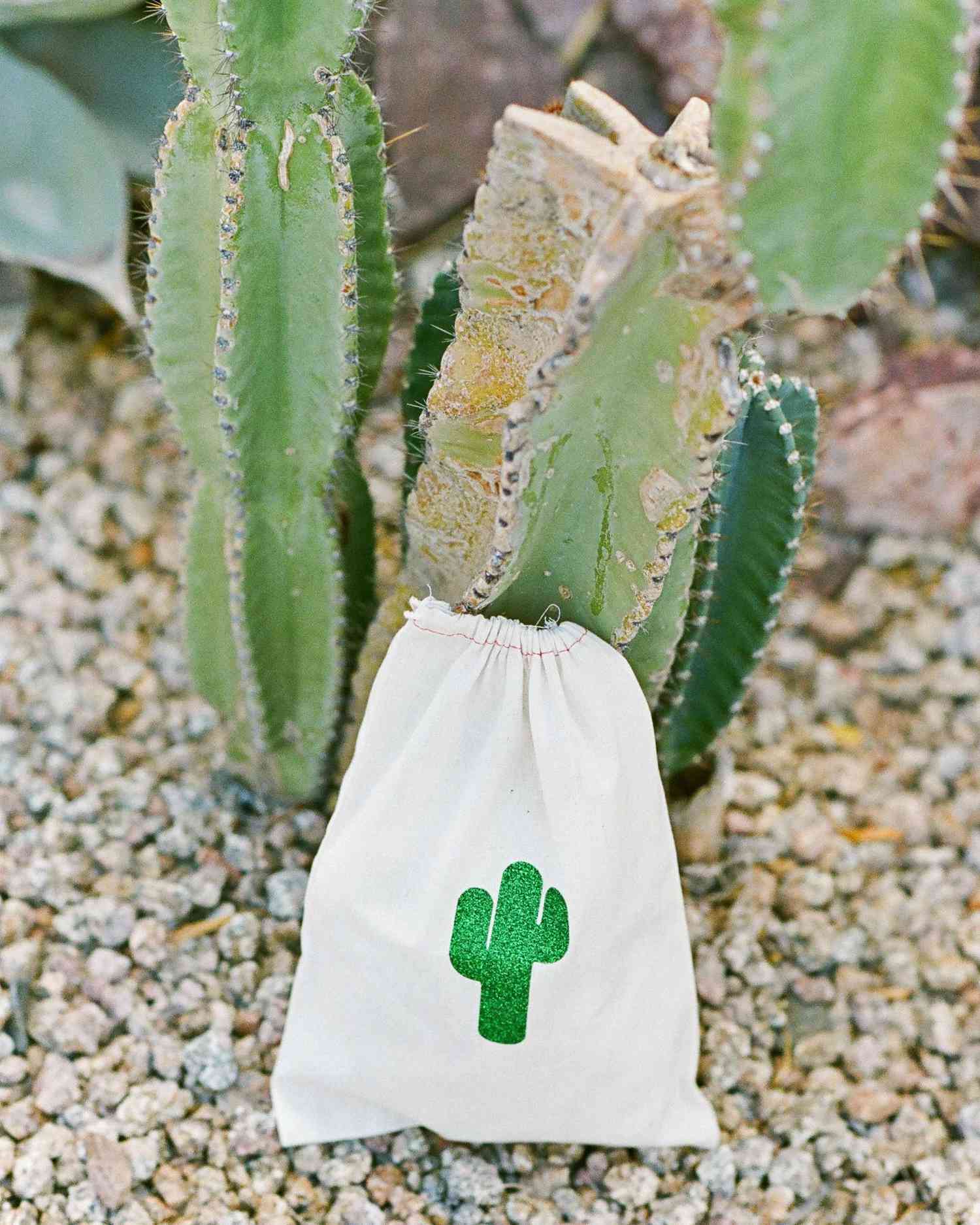 addie alex wedding cacti pouch