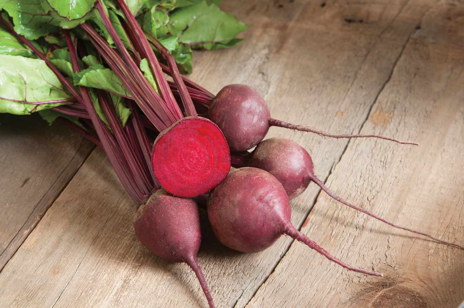 beets-red-ace-0328