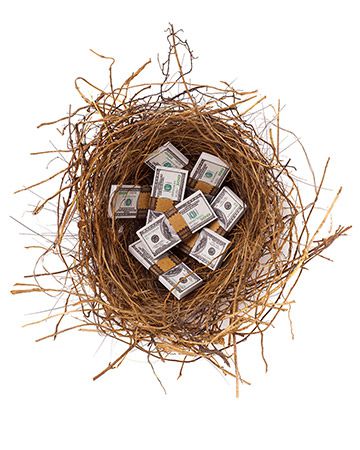 bundled money nest