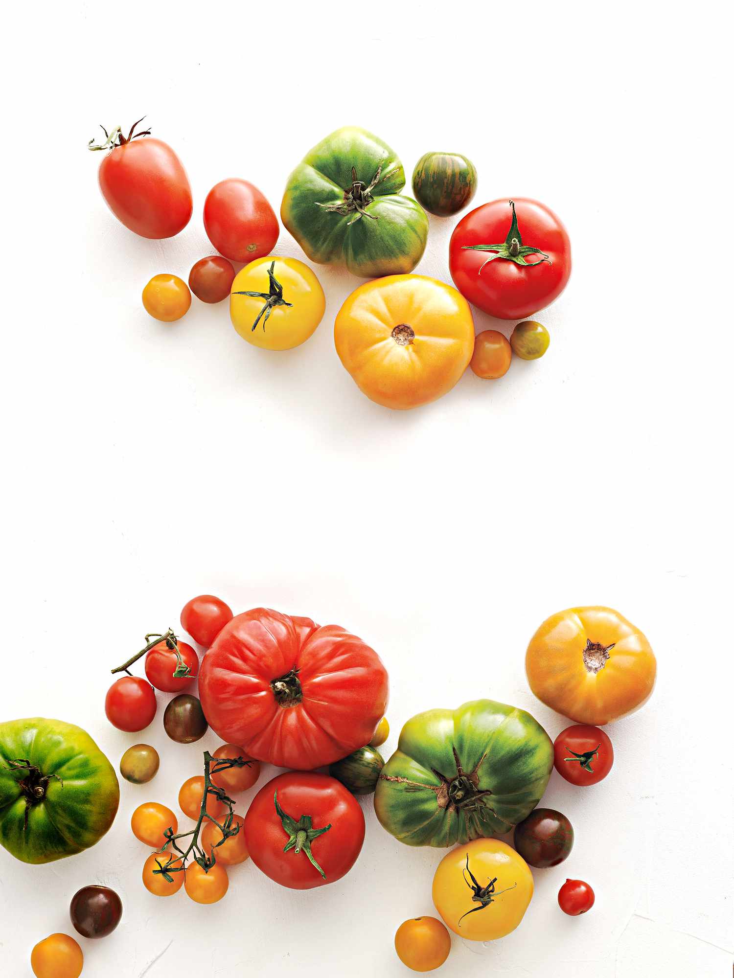 various tomatoes