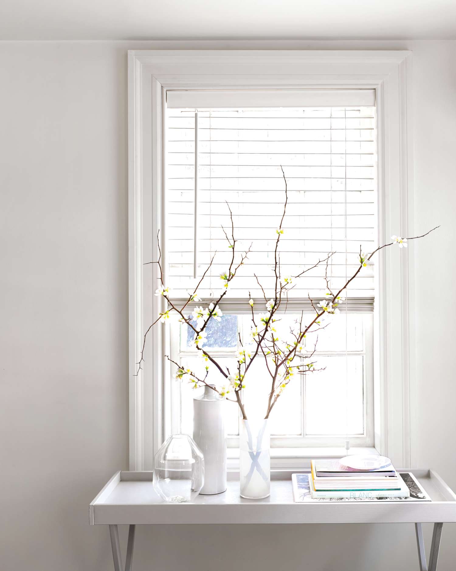 spring-cleaning-blinds-mld110961.jpg