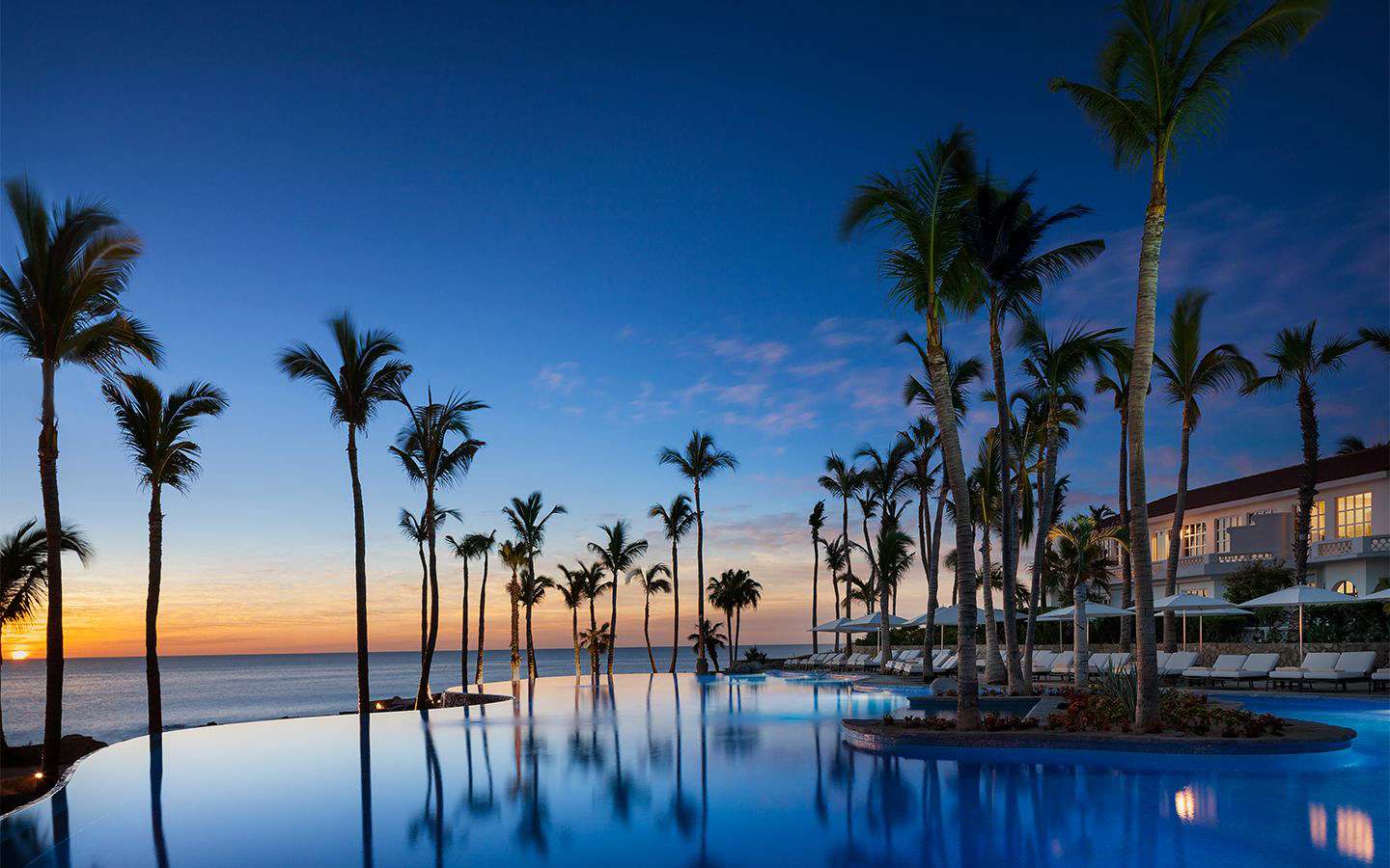 sunset resort palm trees