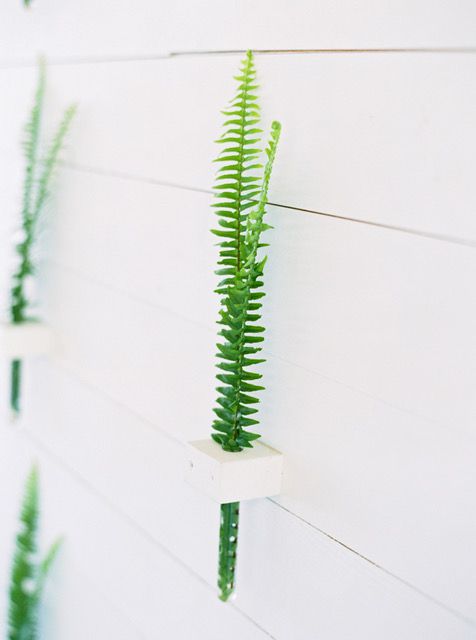 green sprigs in white wall holders
