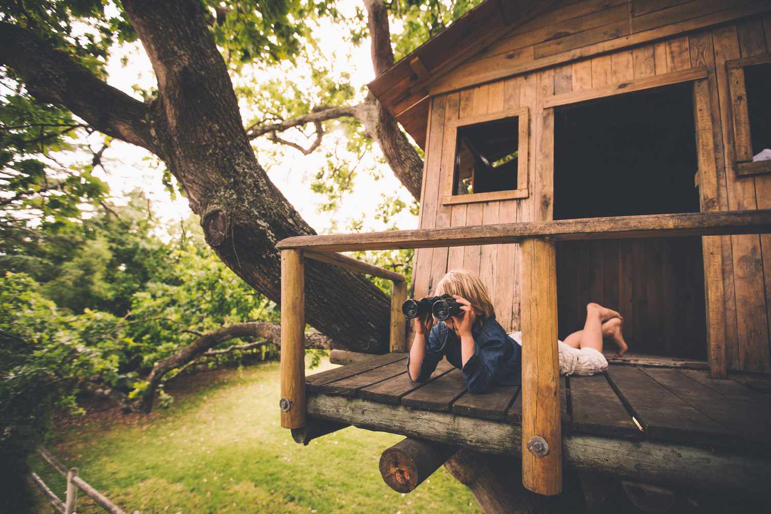 little boy in treehouse