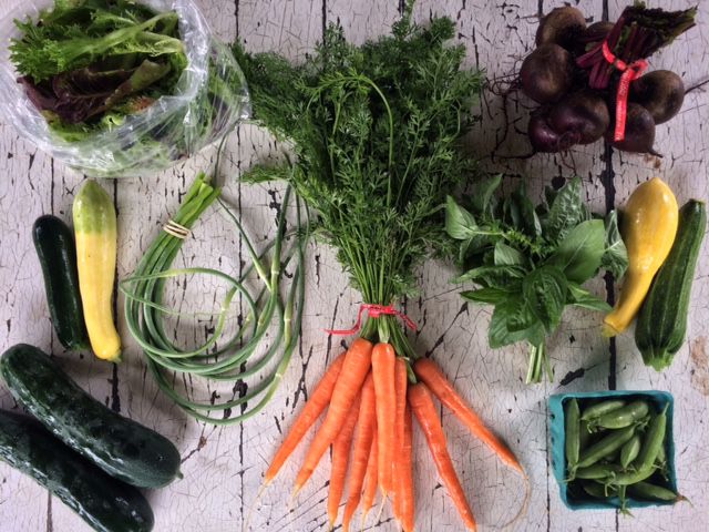 CSA box from ten mothers farm with carrots, herbs, beets