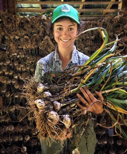 vera holding bundle garlic at ten mothers farm