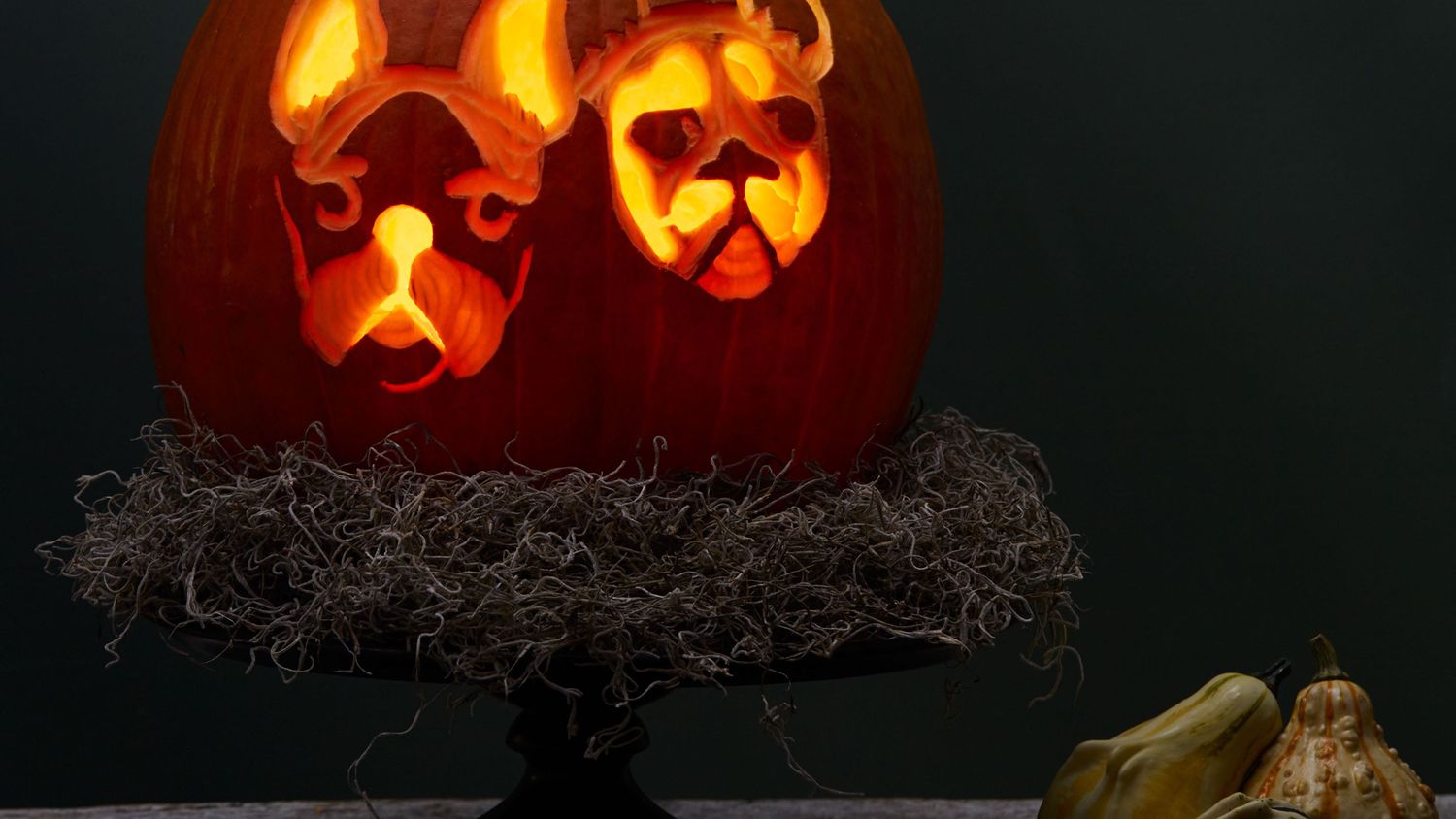 Dog O Lanterns Are Our New Favorite Halloween Pumpkin Carving Trend Martha Stewart