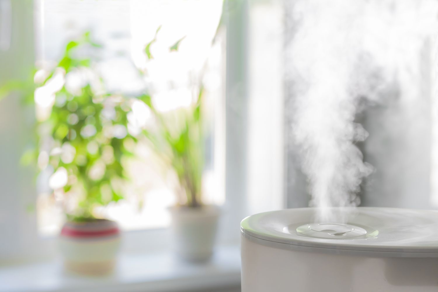 cleaning your humidifier