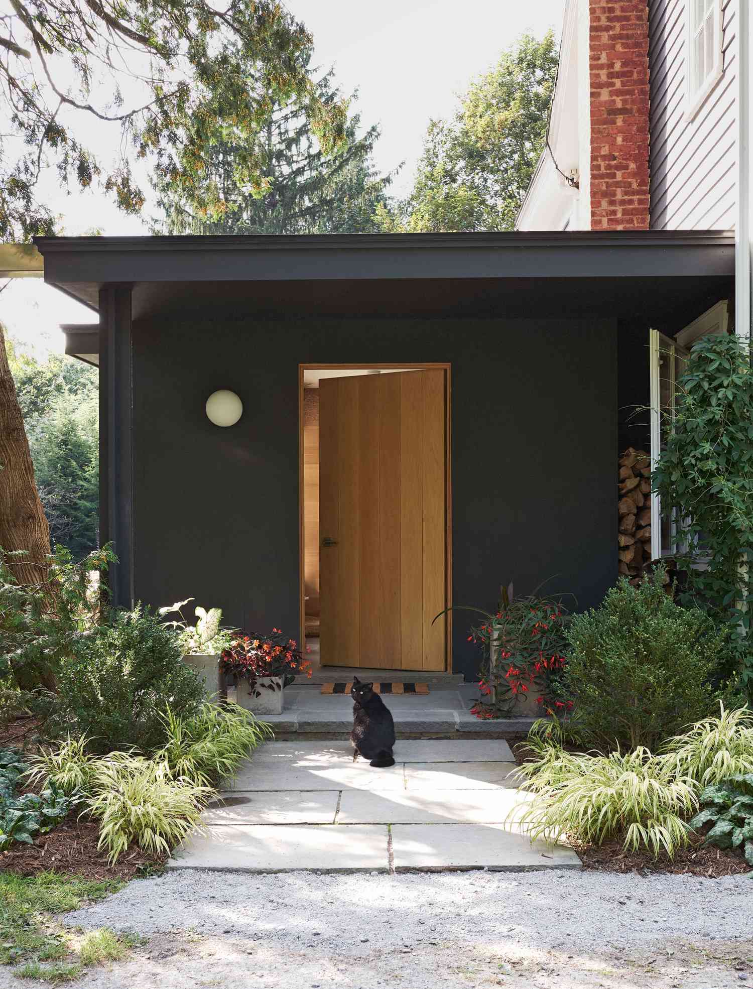 cat sitting outside back door black walls