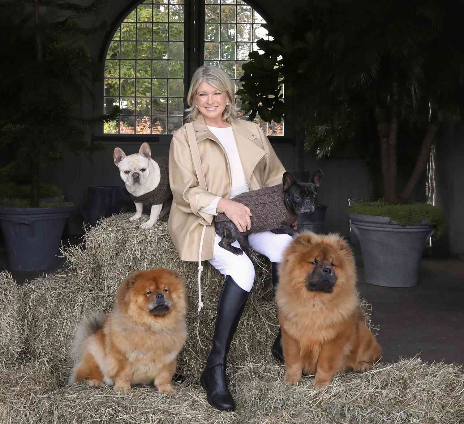 martha stewart with her dogs