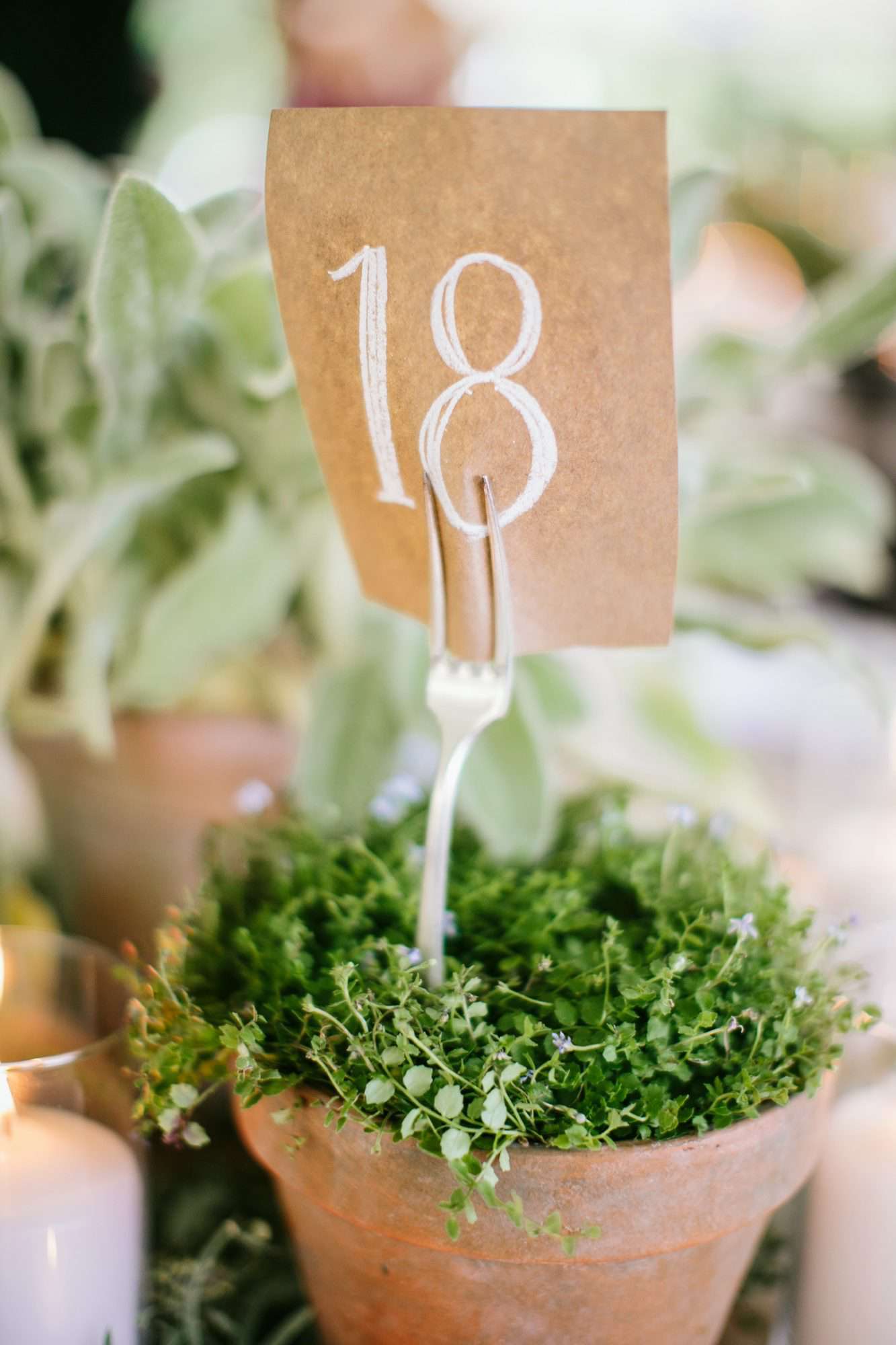 potted herb with fork holding table number