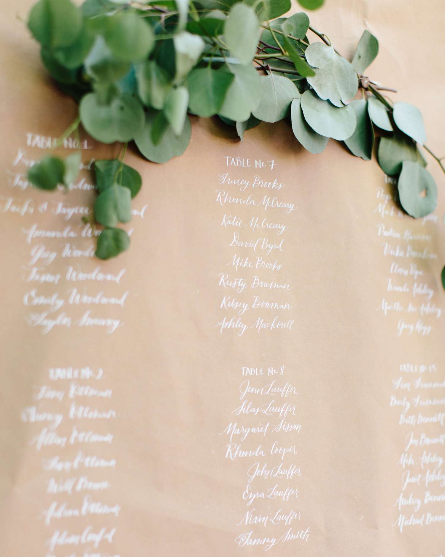 eucalyptus branch above listed seating chart