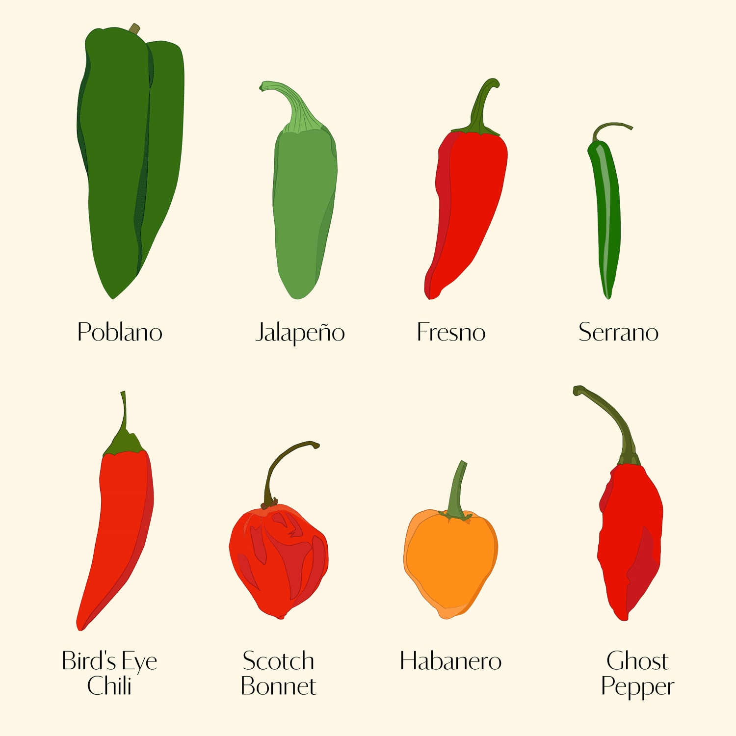 Eight Varieties of Chile Peppers