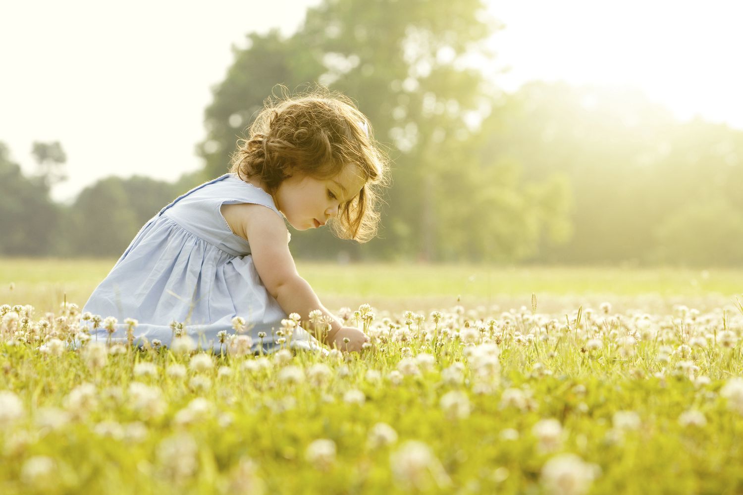little girl picking flowers in a field