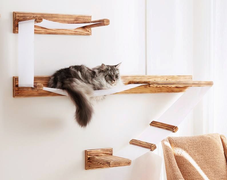 What to Know About Cat Shelving | Martha Stewart