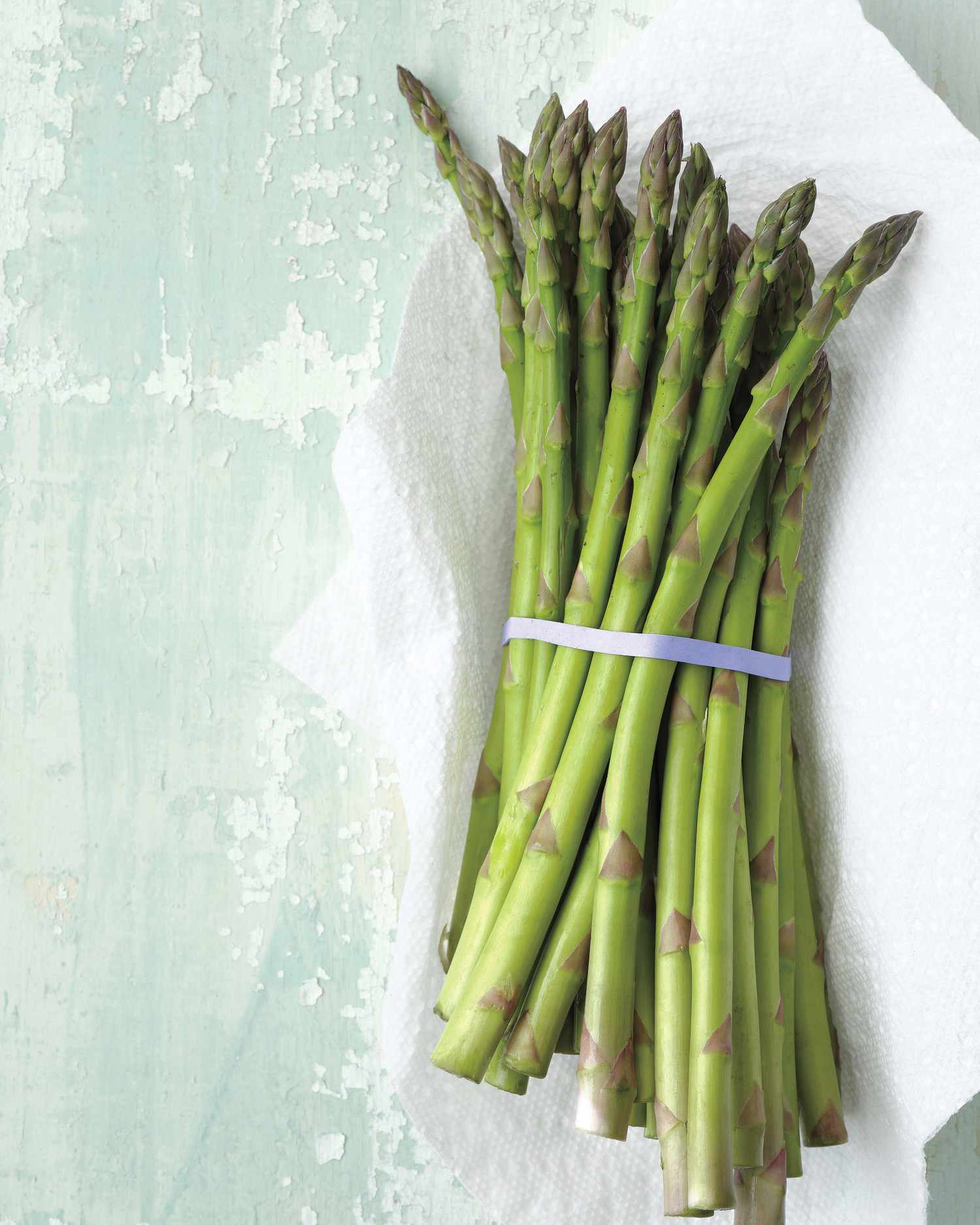 asparagus bunch bound