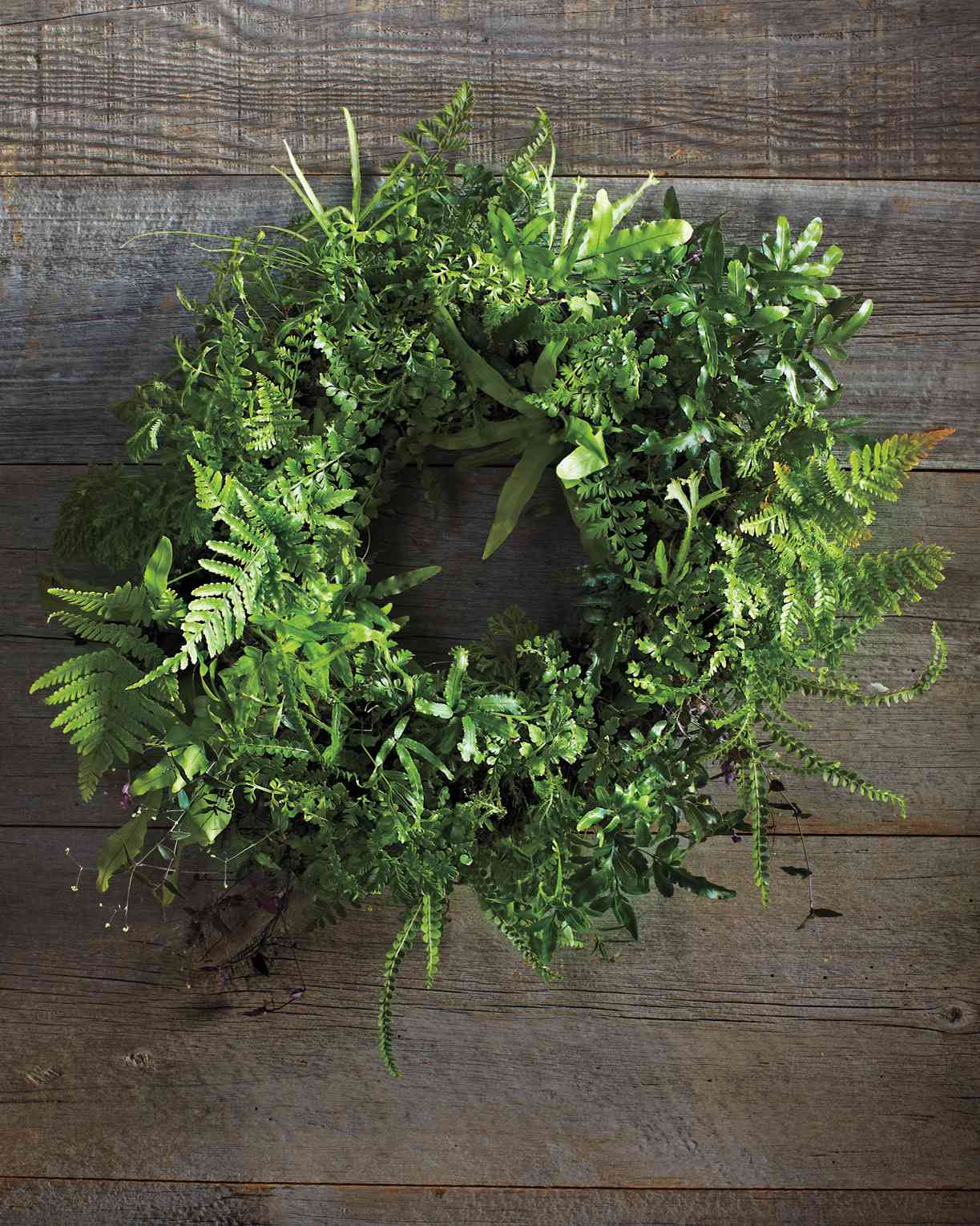 Fern Wreath