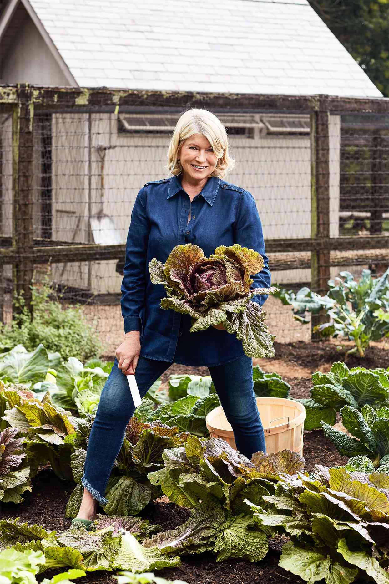 martha stewart in cabbage garden