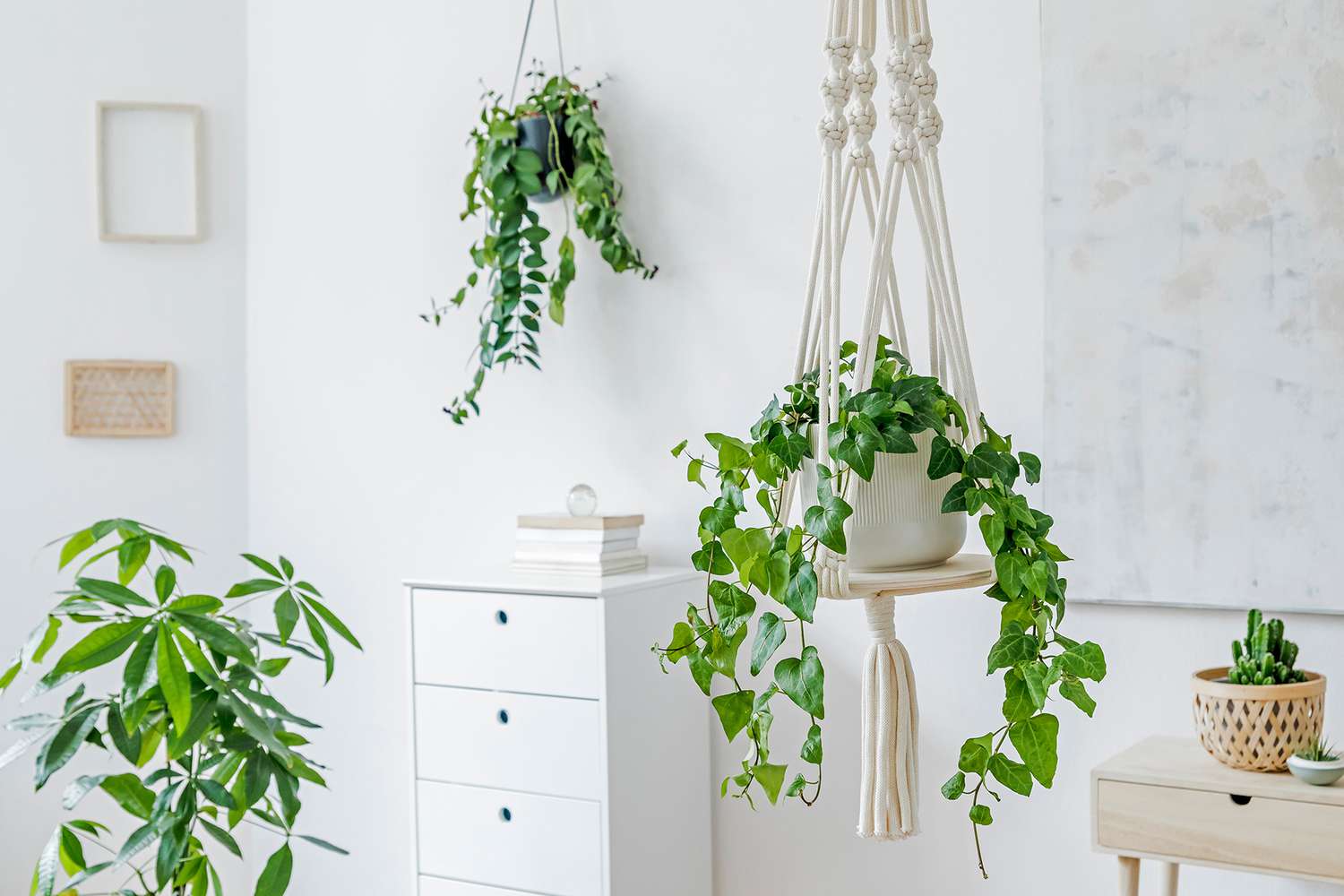 hanging baskets in white room