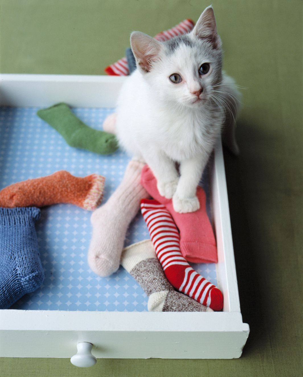 Baby-Sock Catnip Toy