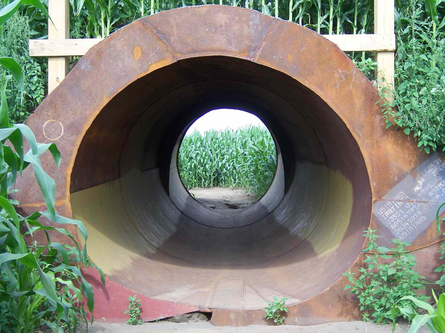 A tunnel in the Great Vermont Corn Maze.