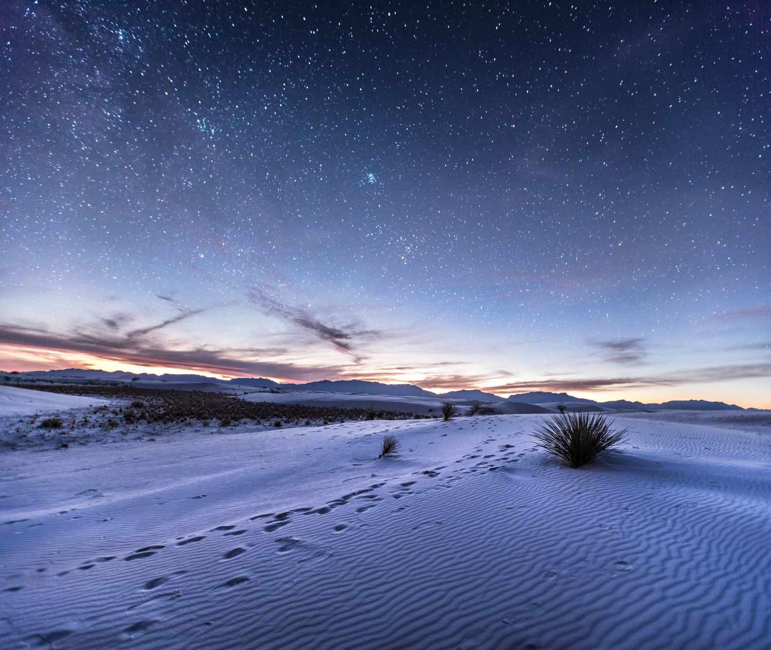 a starry night sky in New Mexico