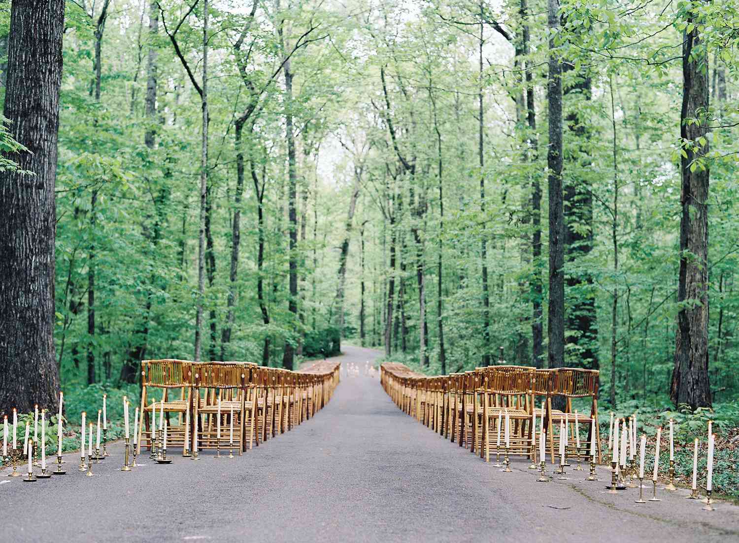 wooden chairs set up on forest path for ceremony