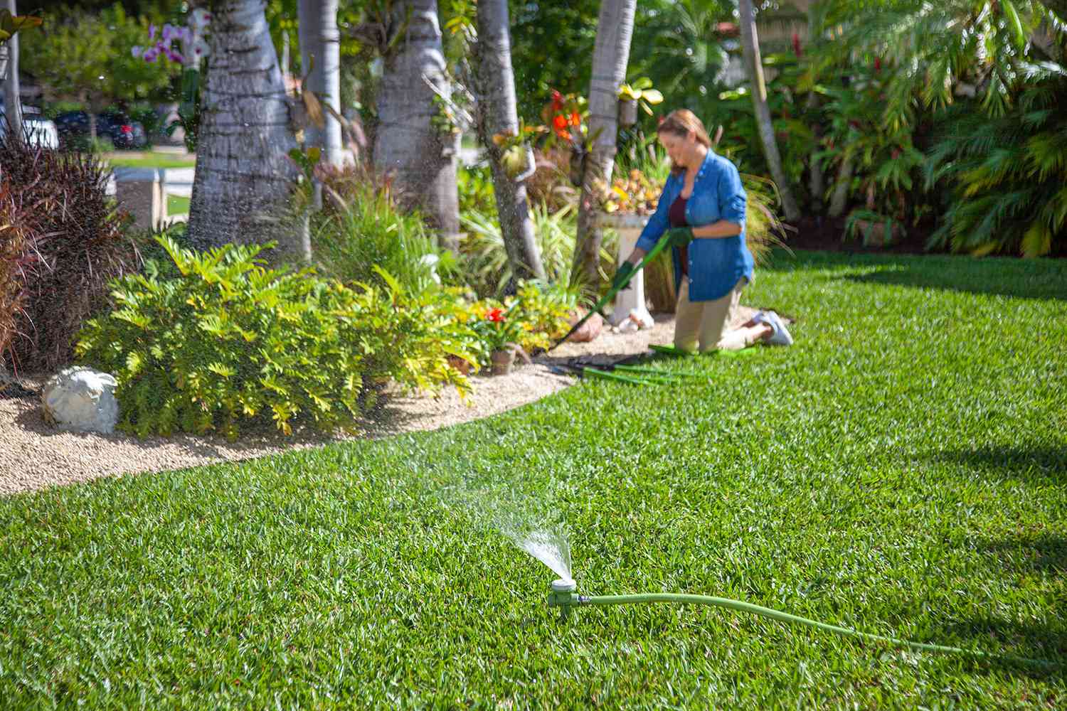 woman gardening with yard sprinkler on